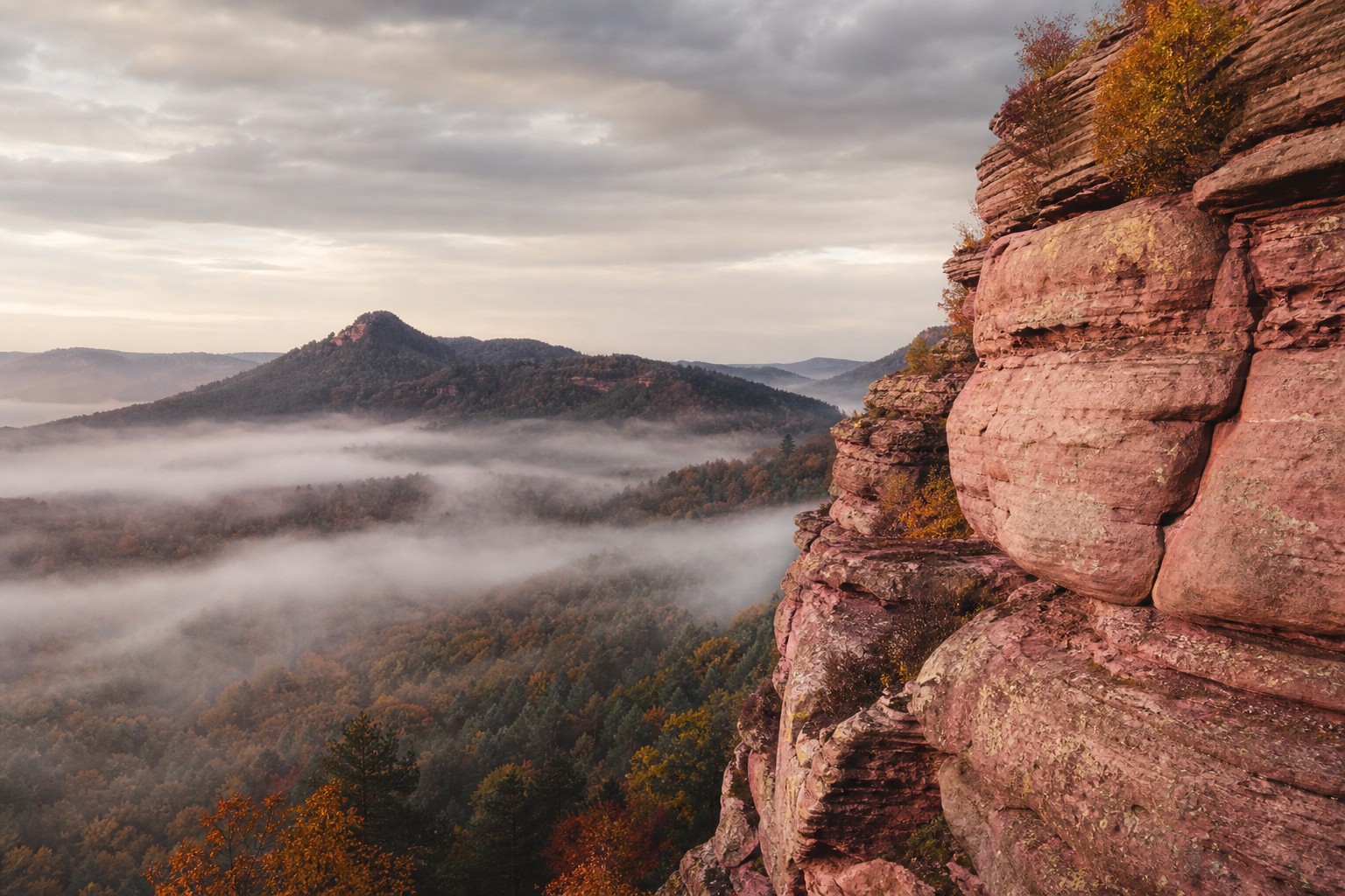Rosensandstein-Felsen im Pfälzerwald bei sanftem Morgenlicht